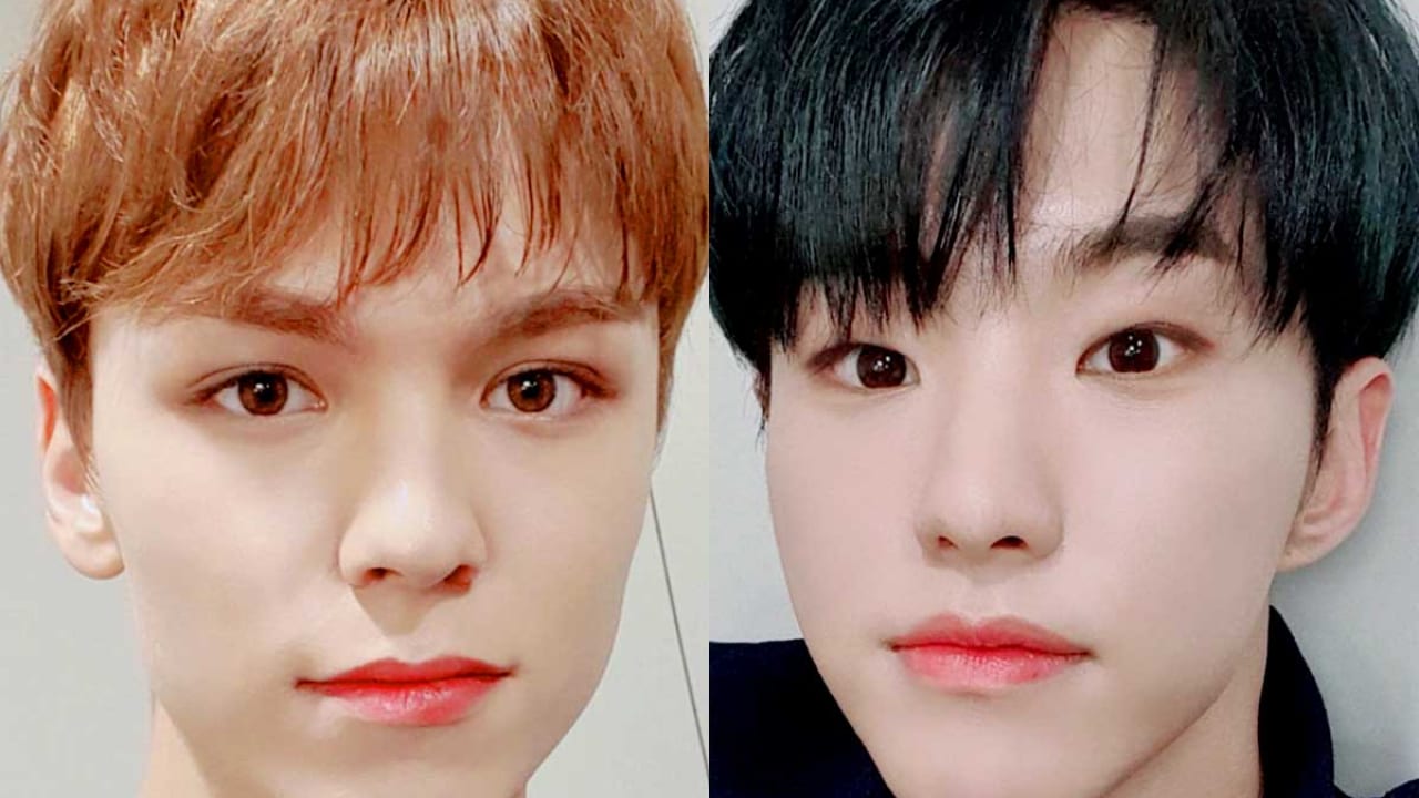 Seventeen ホシ バーノン の大きさが親子レベルに違う ホシが赤ちゃんに見えちゃう衝撃の瞬間とは Kpop Monster