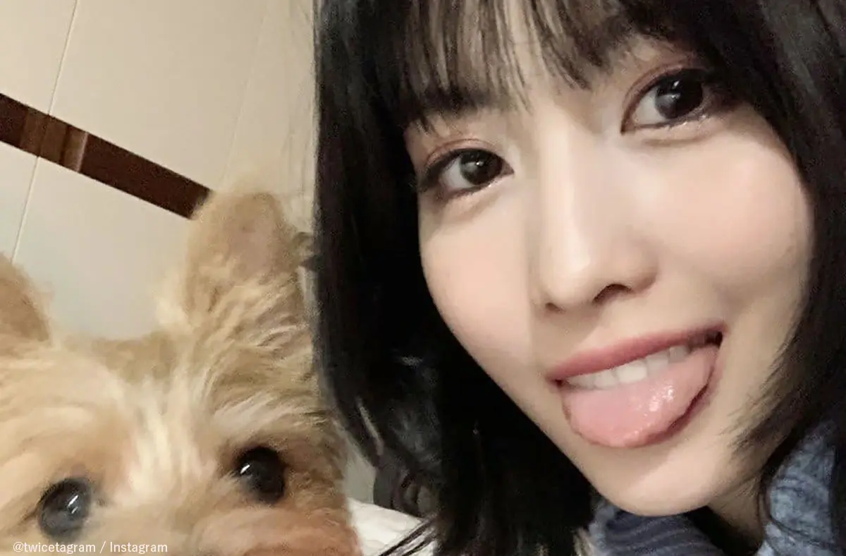 Twice モモ じつは極度の犬アレルギーだった 愛犬家で知られるモモが明かした事実に衝撃 一体大丈夫なの Kpop Monster