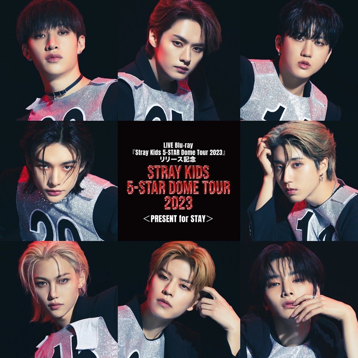 Stray Kids 5-STAR Dome Tour 2023＜PRESENT for STAY＞